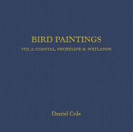 BIRD PAINTINGS VOLUME TWO